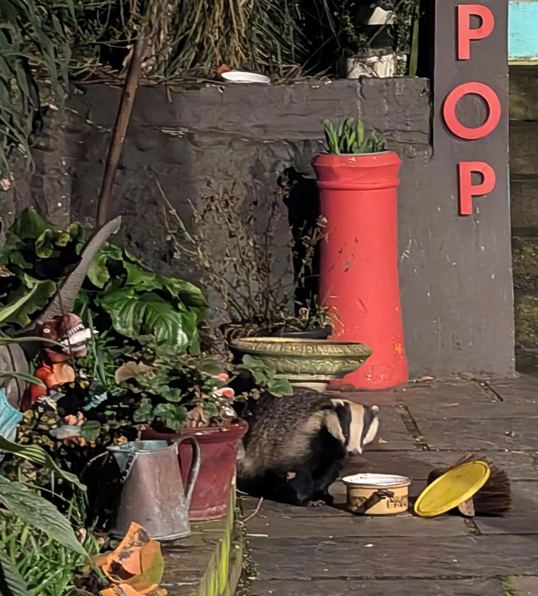 Pop Art Pad Heart Of Old Town With Parking! Leilighet Hastings Eksteriør bilde